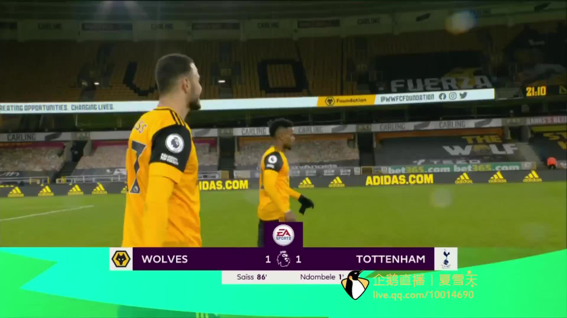 国球迷的欢 国球迷的欢